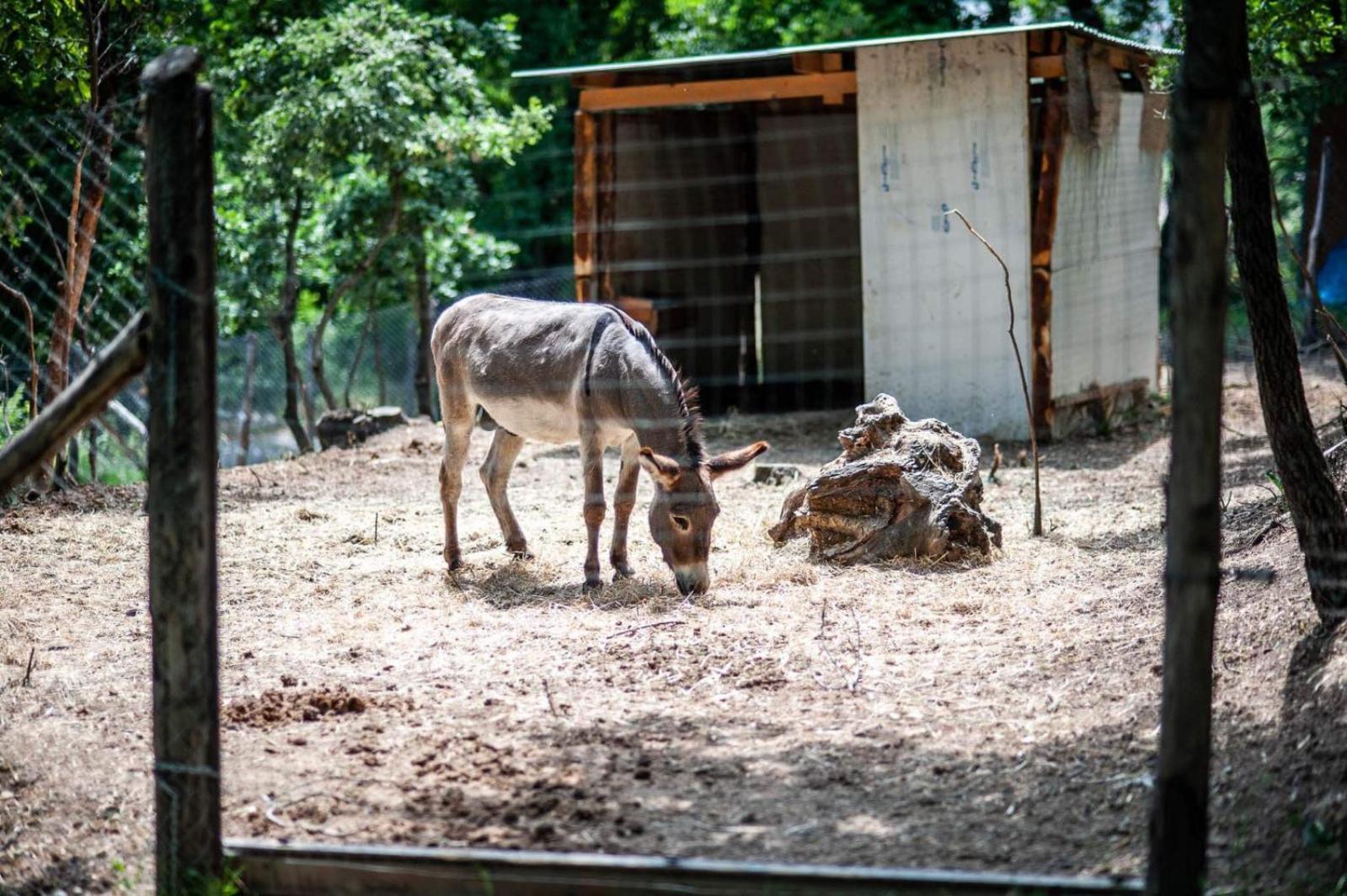 Tenuta Santo Stefano Azienda Agrituristica Santo Stefano del Sole エクステリア 写真