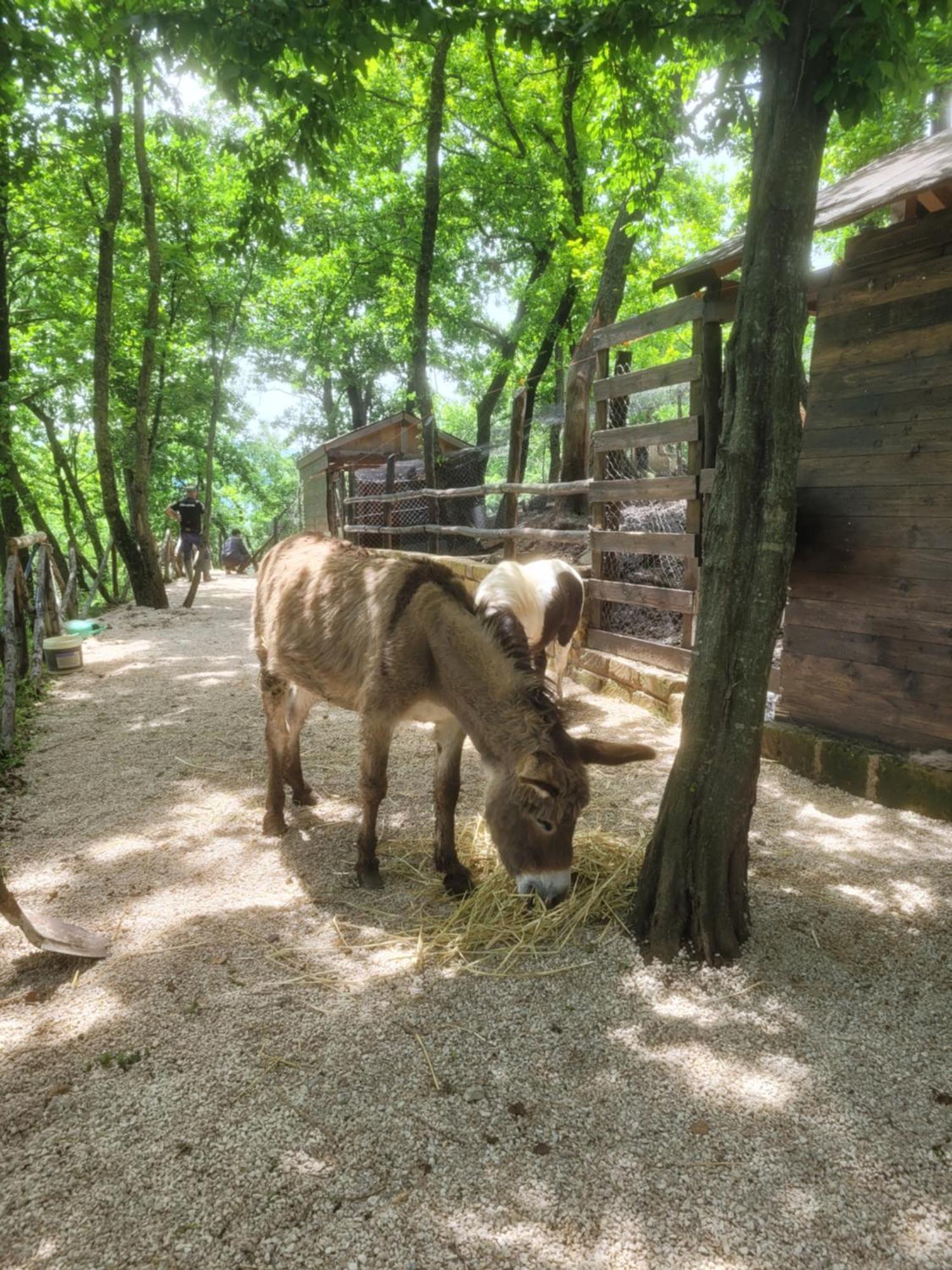 Tenuta Santo Stefano Azienda Agrituristica Santo Stefano del Sole エクステリア 写真